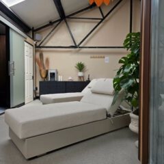 A modern lounge chair sits in a bright room with a potted plant, black cabinets, and decor items on top. Exposed ceiling beams and a door are visible in the background.